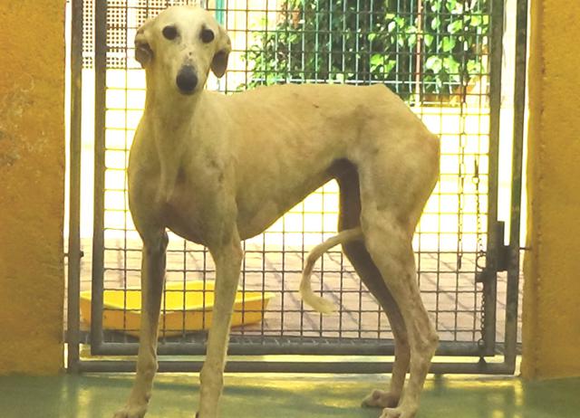 multimedia-foto37735-415-3