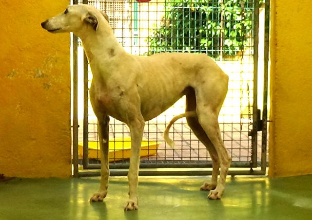 multimedia-foto37736-569-3