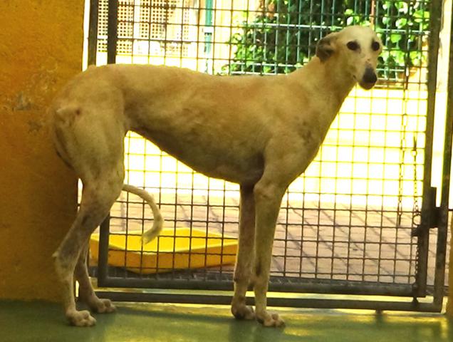 multimedia-foto37737-700-3