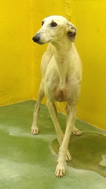 multimedia-foto37738-813-3