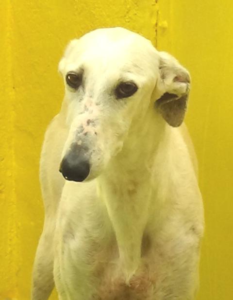 multimedia-foto37739-890-3