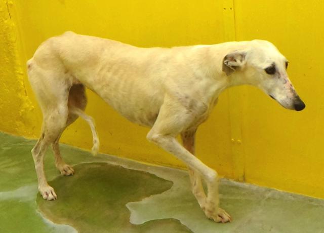 multimedia-foto37740-938-3