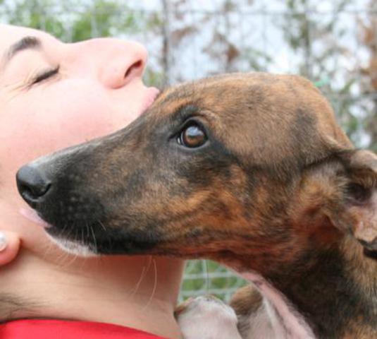 multimedia-foto37743-413-3