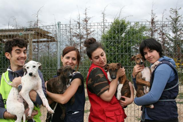 multimedia-foto37744-638-3