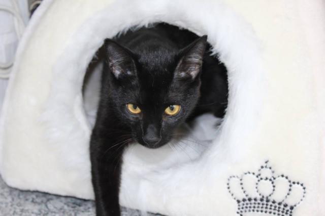 multimedia-foto37747-417-3