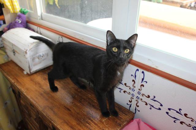 multimedia-foto37749-856-3