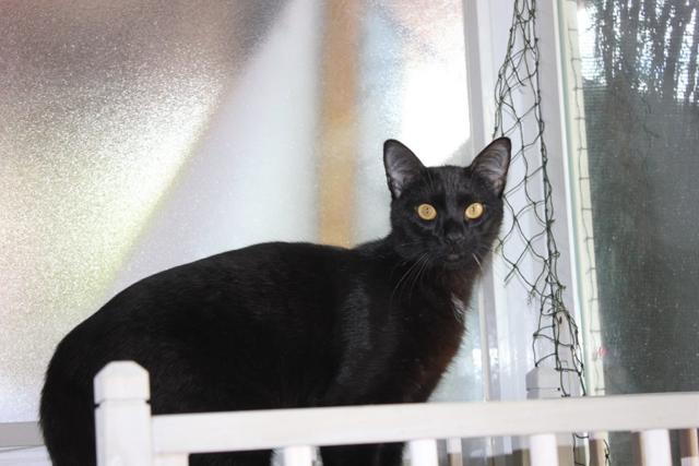 multimedia-foto37750-58-3