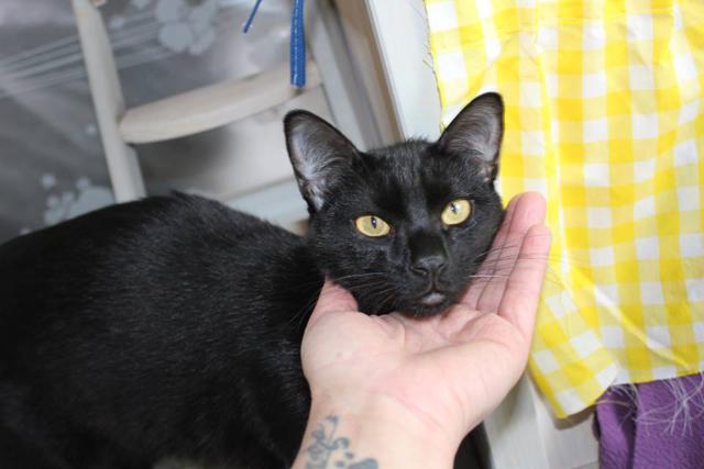 multimedia-foto37751-253-3