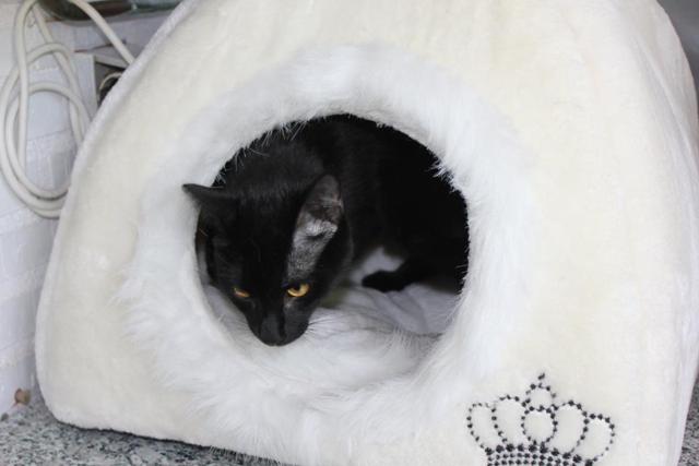 multimedia-foto37753-578-3