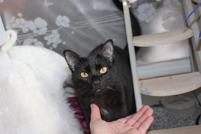 multimedia-foto37754-708-3