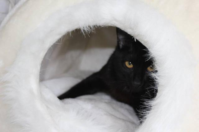 multimedia-foto37755-820-3