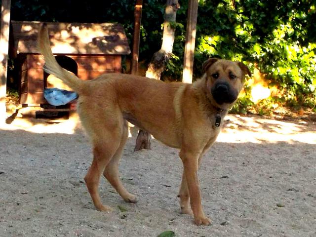 multimedia-foto37803-460-3