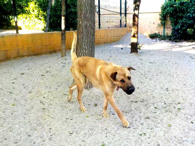 multimedia-foto37804-684-3