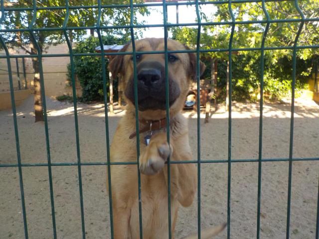 multimedia-foto37805-899-3