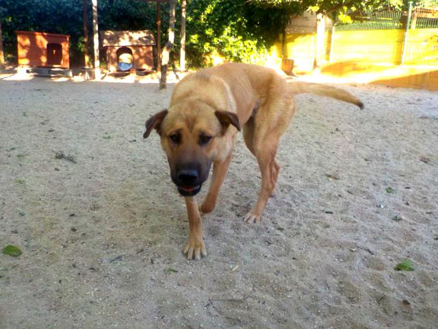 multimedia-foto37807-288-3