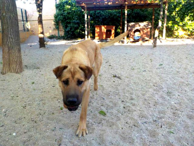 multimedia-foto37809-607-3