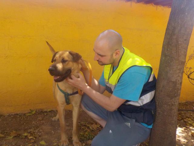 multimedia-foto37810-733-3