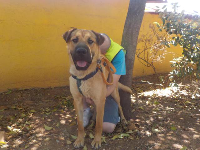 multimedia-foto37812-904-3