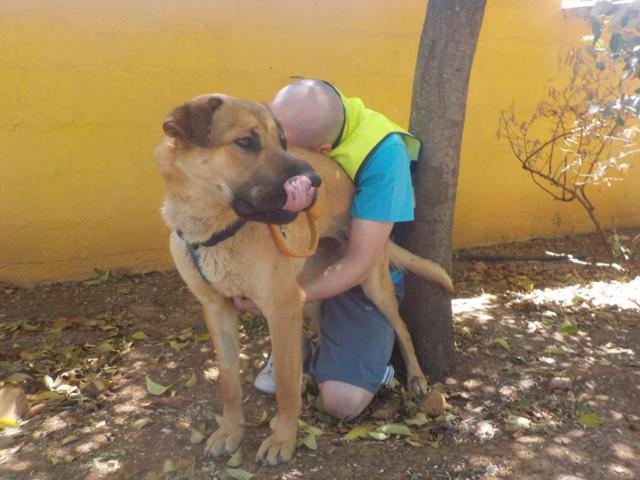 multimedia-foto37813-951-3