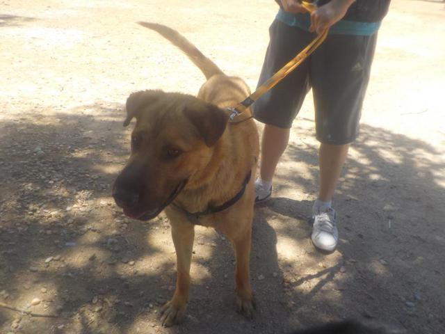 multimedia-foto37814-992-3