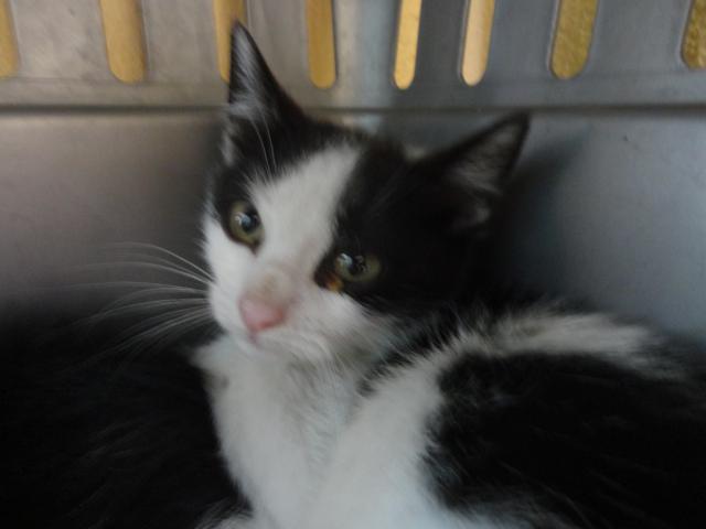 multimedia-foto37904-325-3