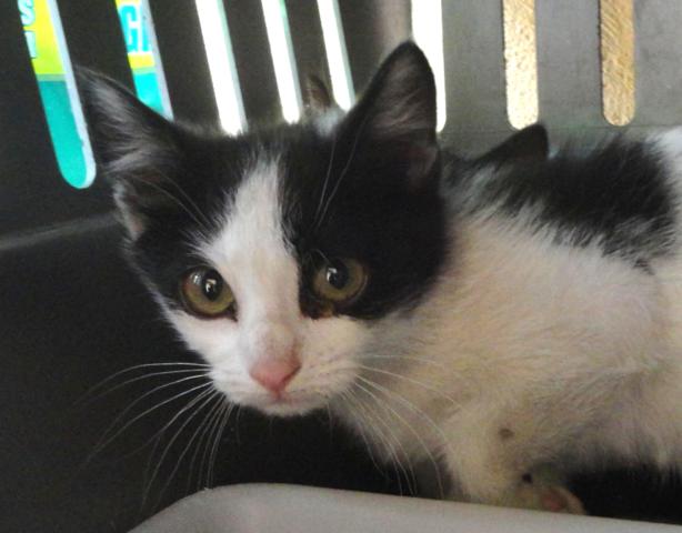 multimedia-foto37905-551-3