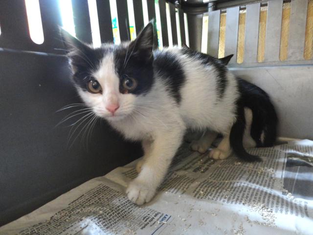 multimedia-foto37906-772-3