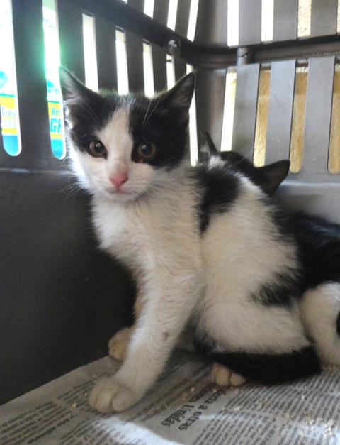 multimedia-foto37907-981-3