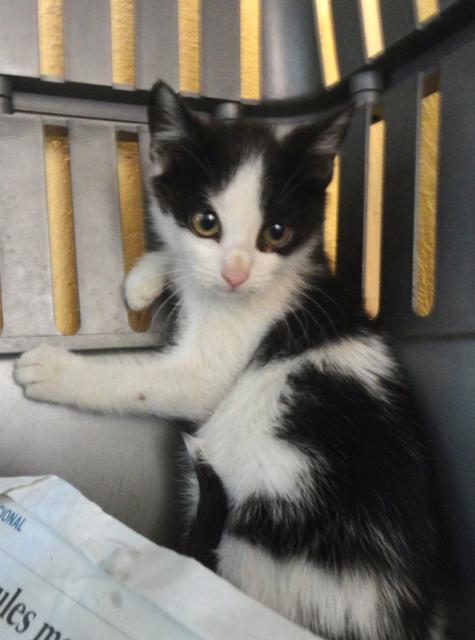 multimedia-foto37908-182-3