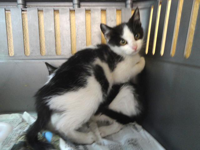 multimedia-foto37909-361-3