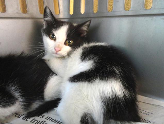 multimedia-foto37910-523-3