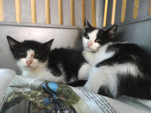 multimedia-foto37912-782-3