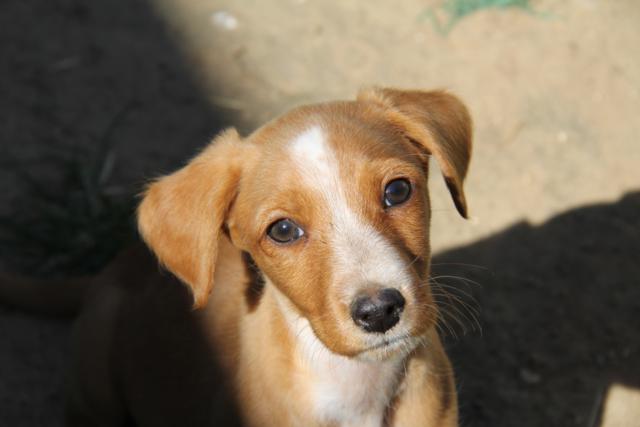 multimedia-foto37924-342-3