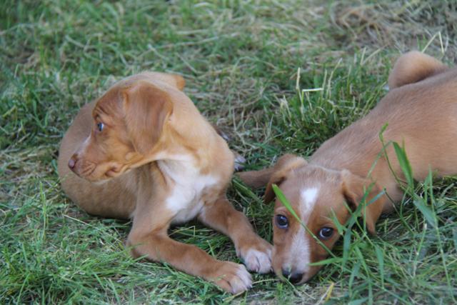 multimedia-foto37925-568-3