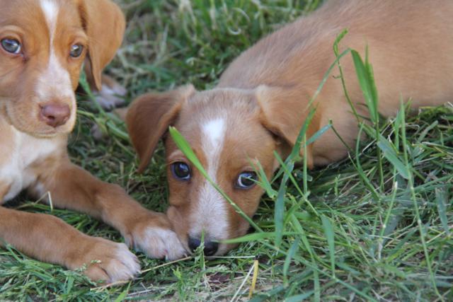 multimedia-foto37926-791-3