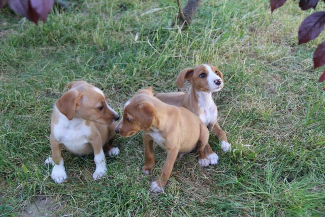 multimedia-foto37928-195-3