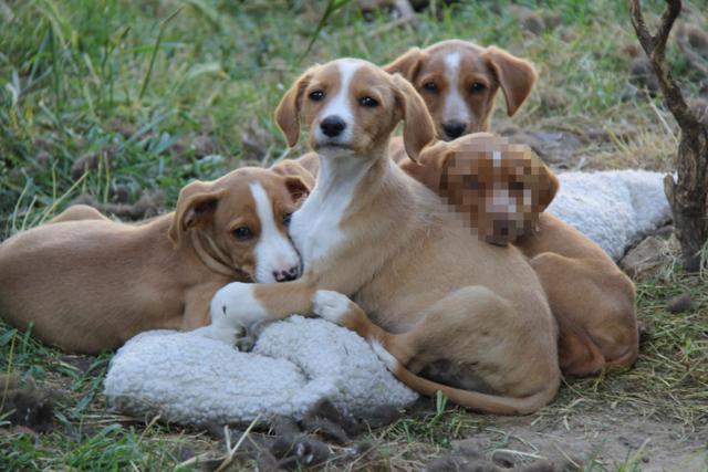 multimedia-foto37929-373-3