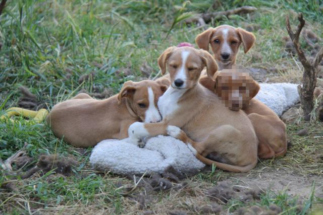 multimedia-foto37930-533-3