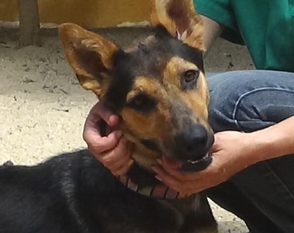 multimedia-foto37933-351-3