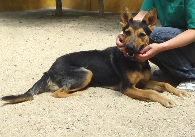 multimedia-foto37934-576-3