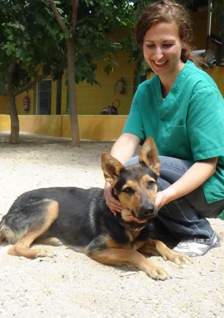 multimedia-foto37935-799-3