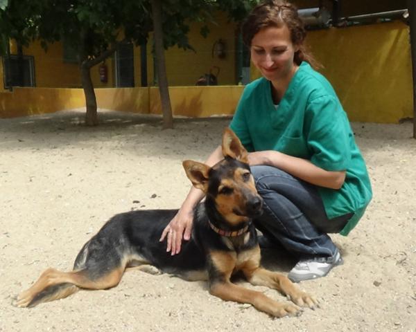 multimedia-foto37936-8-3