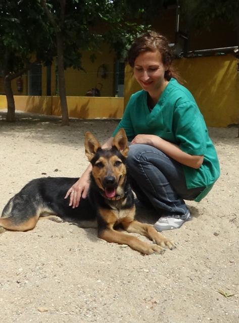 multimedia-foto37937-203-3