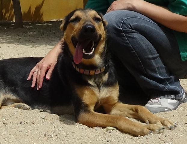 multimedia-foto37938-380-3