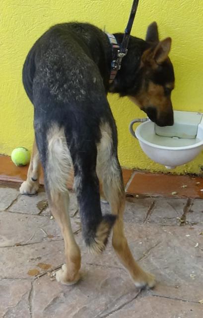 multimedia-foto37941-793-3