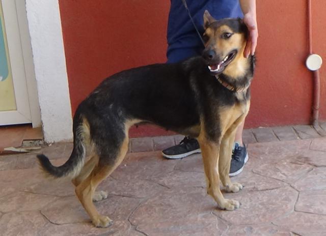 multimedia-foto37942-880-3