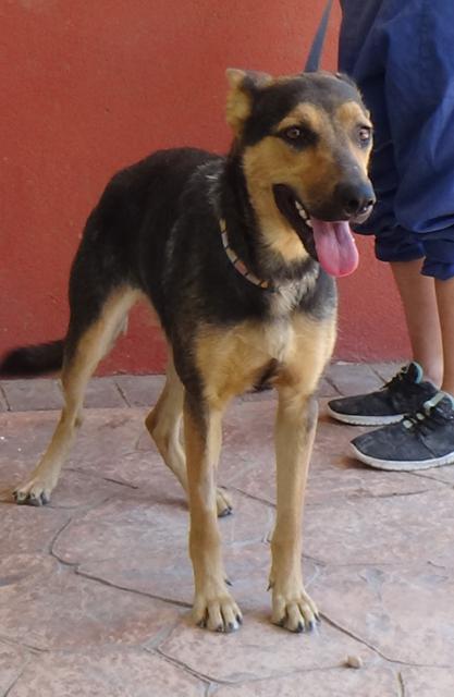 multimedia-foto37944-974-3