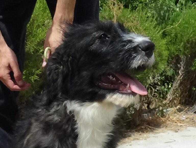 multimedia-foto37946-363-3