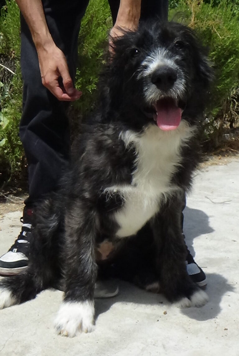 multimedia-foto37947-589-3