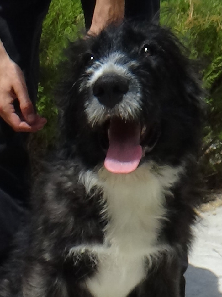 multimedia-foto37948-810-3